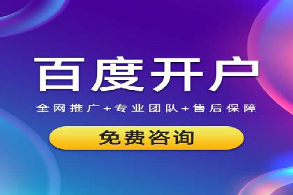 行业领先企业如何运用SEM运营推广